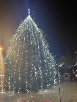 Prižig lučk 2025 (36)